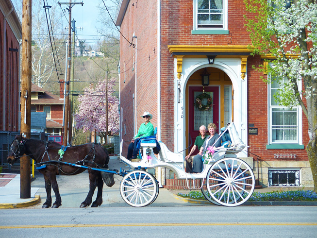 Broomtail Carriage Ride, call for a ride or guided tour at (812) 756-4168, picture taken in front of Azalea Manor Bed and Breakfast in Madison Indiana 47250